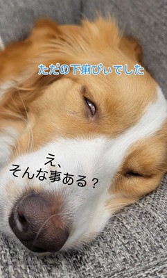 予想外の嬉しいオチ（笑）