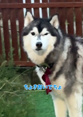 「まだ入らないけど？」