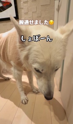 れお君の表情の変化3