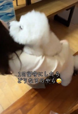 RAUくんの熱烈大歓迎7