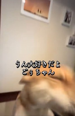 大好きを伝えるパパ
