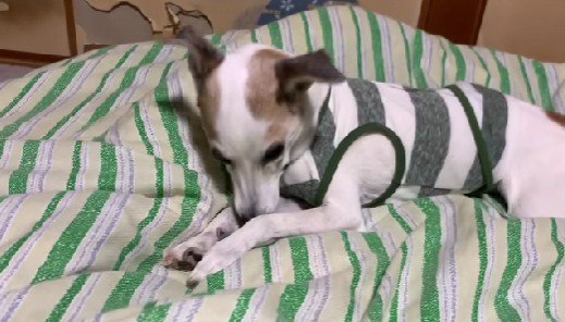 不安でたまらない…