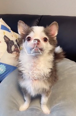 輪郭をなぞる投稿主さん