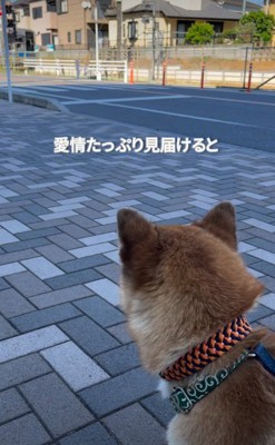 最後まで見送ると…