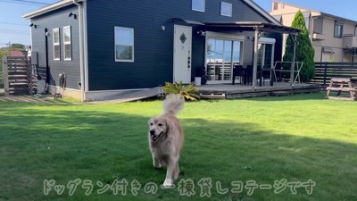 ドッグラン付きの1棟貸しコテージ