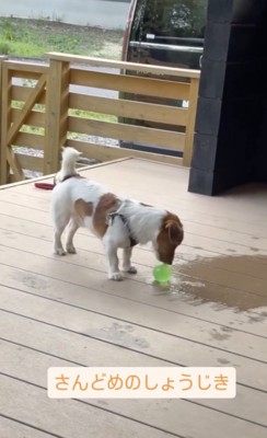 心は折れていません