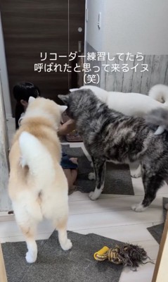 囲まれてしまった！