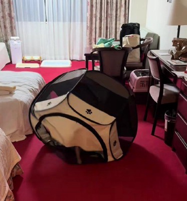 前へ前へと移動