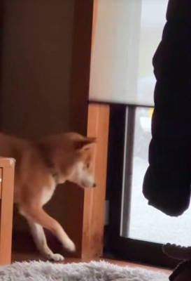 リクくんにハプニング発生9