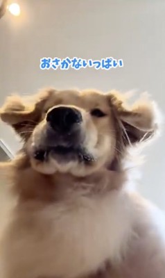 魚になった気分を味わえるアングル