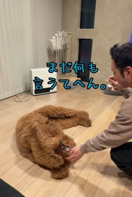 言われる前からやるスタイル