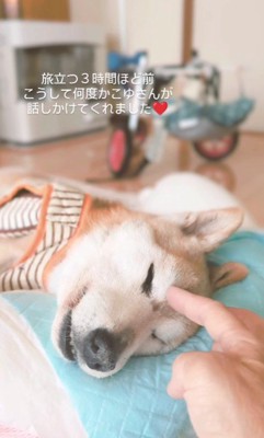 「今までありがとう」