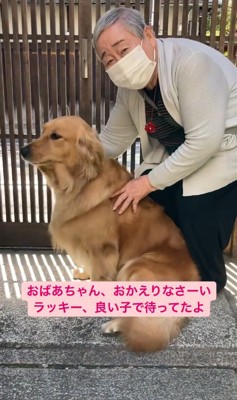 退院したおばあちゃんを出迎える大型犬