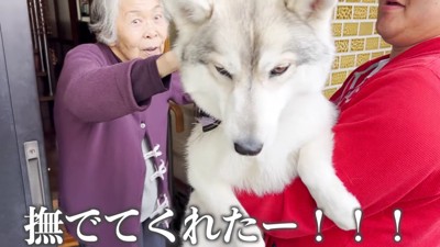 撫でてくれた！！