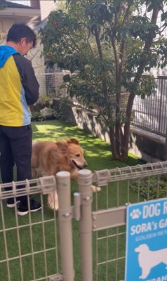 そら君とブリーダーさんの再会9