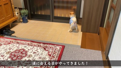 「誰が来たの！？」と興味津々
