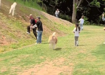 走るおもちちゃん