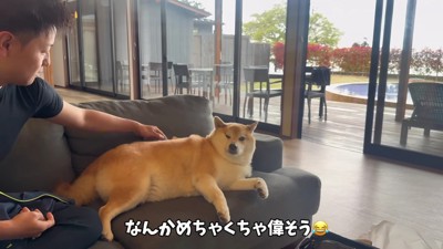 早くも寛ぐおもちちゃん