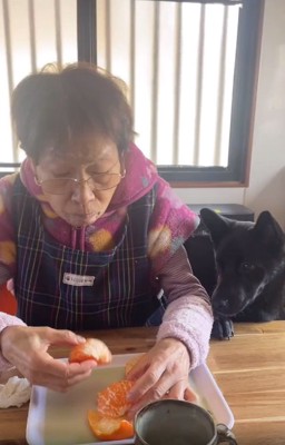 みかんがほしいロイくん