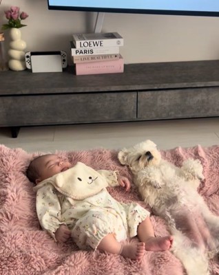 眠る赤ちゃんと小型犬