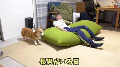 犬と男の子