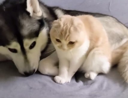 寄り添うふたり