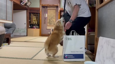 テンションが上がってしまった