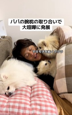 クララちゃんをガン見するマリンちゃん