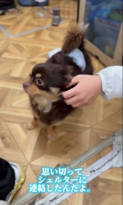 幸せを掴んだしずと君3