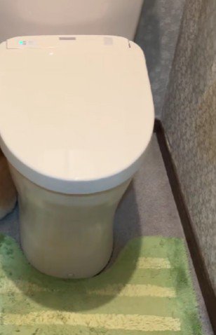コロ助ちゃんが逃げ込んだのは…