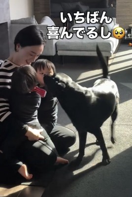 尻尾を振る犬