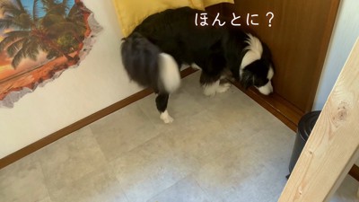 「本当に行っちゃったの？」とドアの前へ