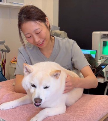 治療が始まると…