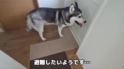 部屋の外に避難