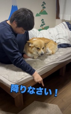 ジッさん、怒りに満ちた表情