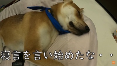 お父さんの看病をするワンジローくん6