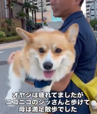 うれしそうな犬3
