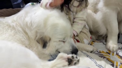 寝かし付けもお手の物♡