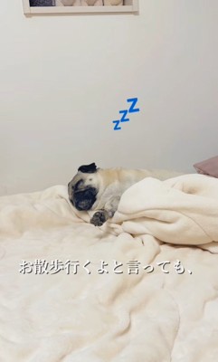 魔法の言葉で飛び起きるももこちゃん3