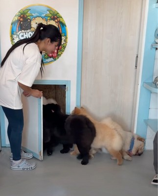 扉から帰っていく犬たち