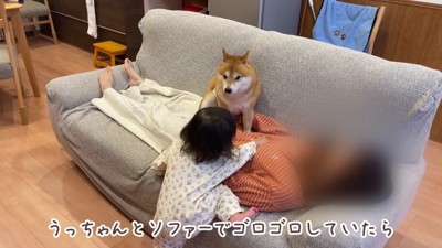 ほのちゃんがやってきて…