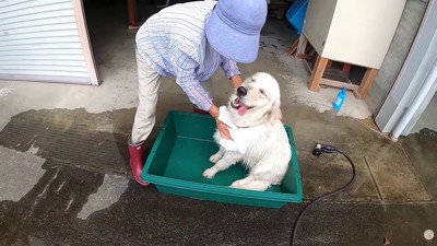 ゴシゴシとタオルドライ