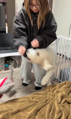 ソラちゃんの熱烈歓迎8