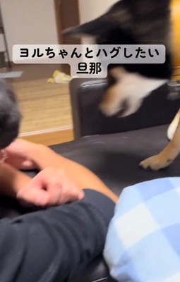 ハグをかわすヨルちゃん