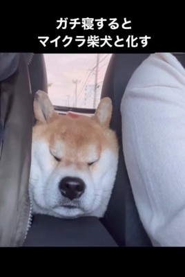 見事な四角に感嘆♡