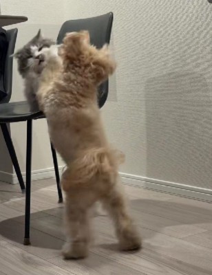 お互いに本気！！