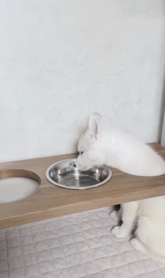 お水飲もー