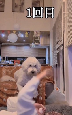 ボールを投げるフリ