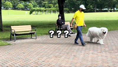 男性の横を通り過ぎる犬