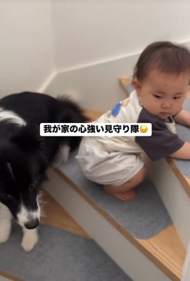 赤ちゃんを見守るヒマちゃん6